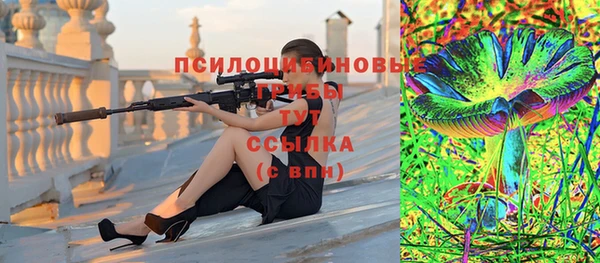 тгк Бородино