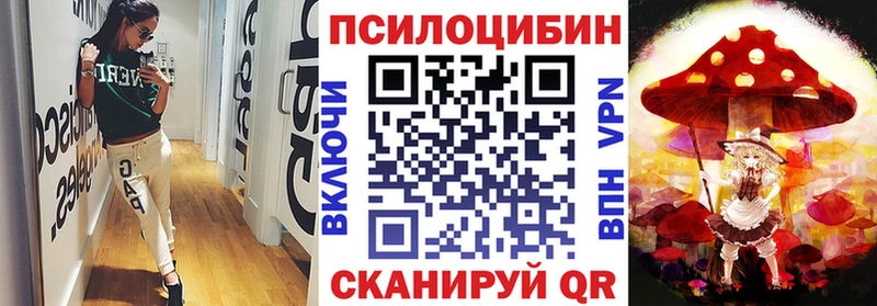 MEGA как зайти  Каргополь  Галлюциногенные грибы мицелий  купить наркоту 
